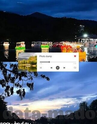 麻d国产传媒大象下载-麻d国产传媒大象下载，网络时代下的文化传播新视角